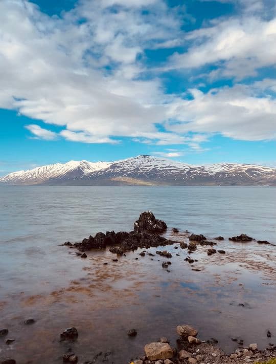 Image missing alt text